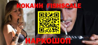 крисы Кулебаки