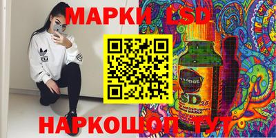 крисы Кулебаки