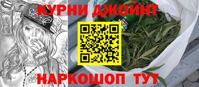 крисы Кулебаки
