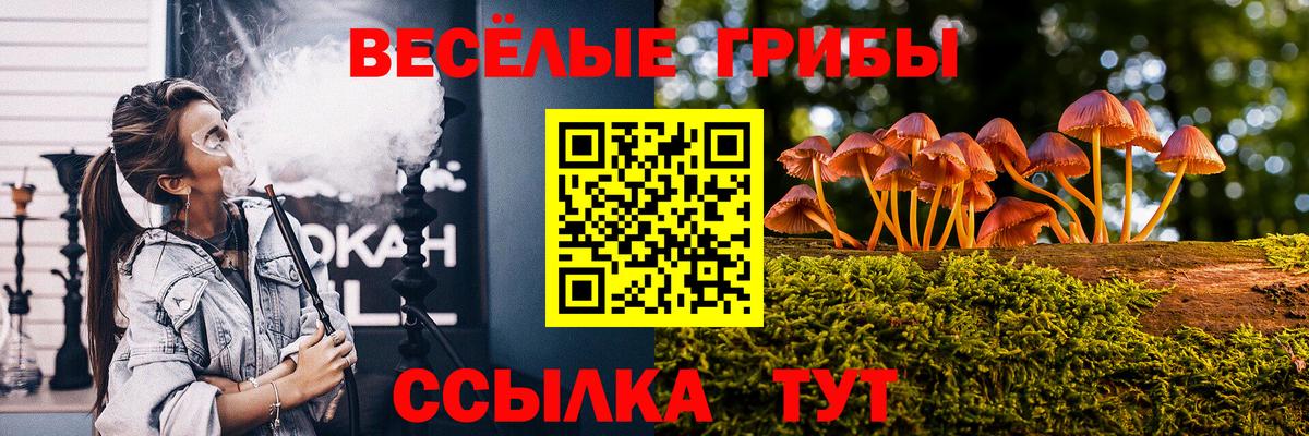 Псилоцибиновые грибы ЛСД Заволжье