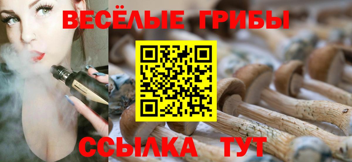 Галлюциногенные грибы GOLDEN TEACHER  Вход с VPN  Заволжье 